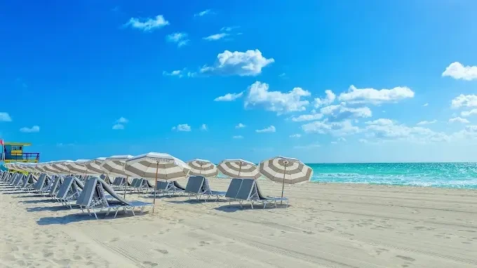 Cavalier Hotel South Beach